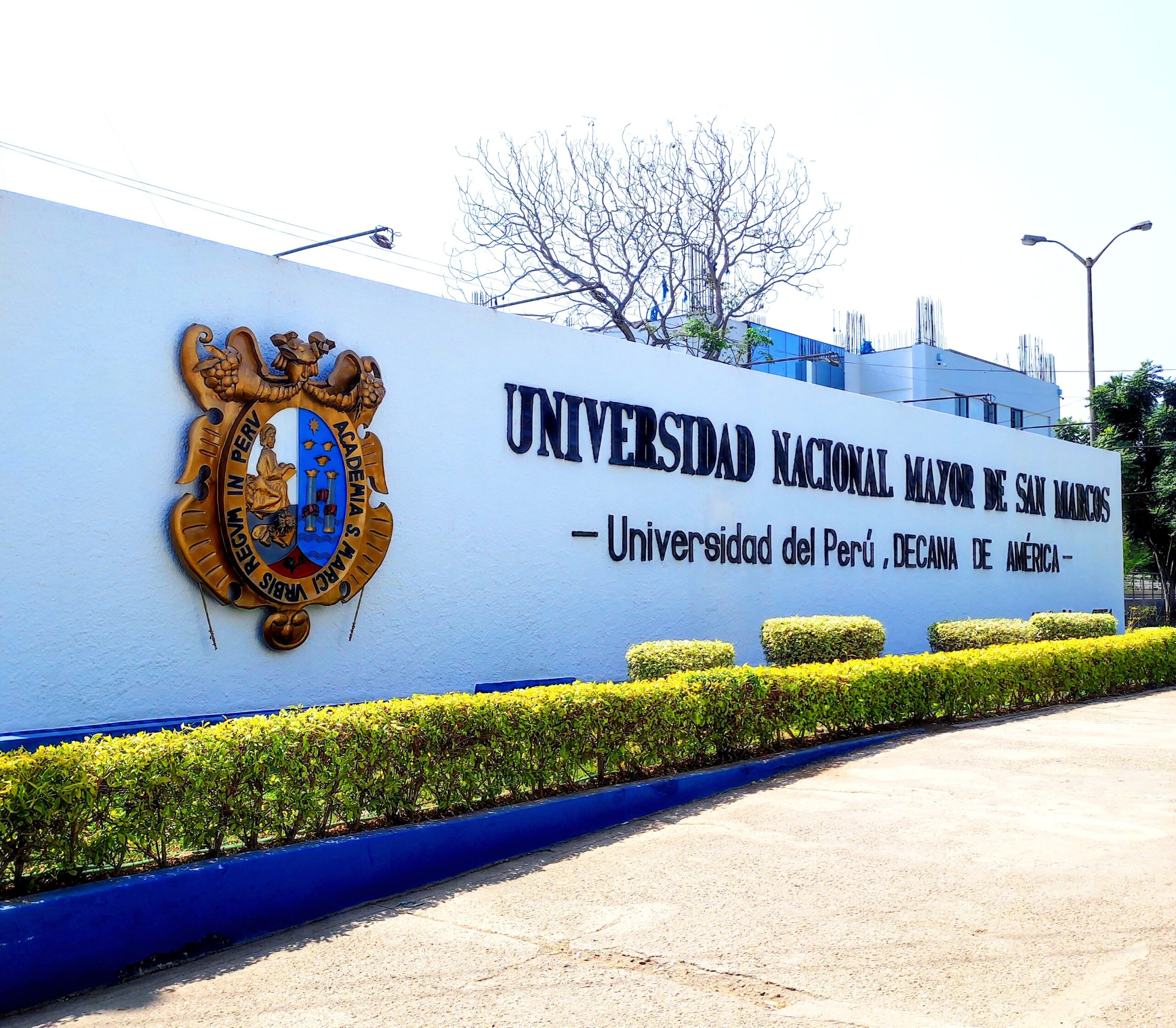 Mural de la Universidad Nacional Mayor de San Marcos, 2024