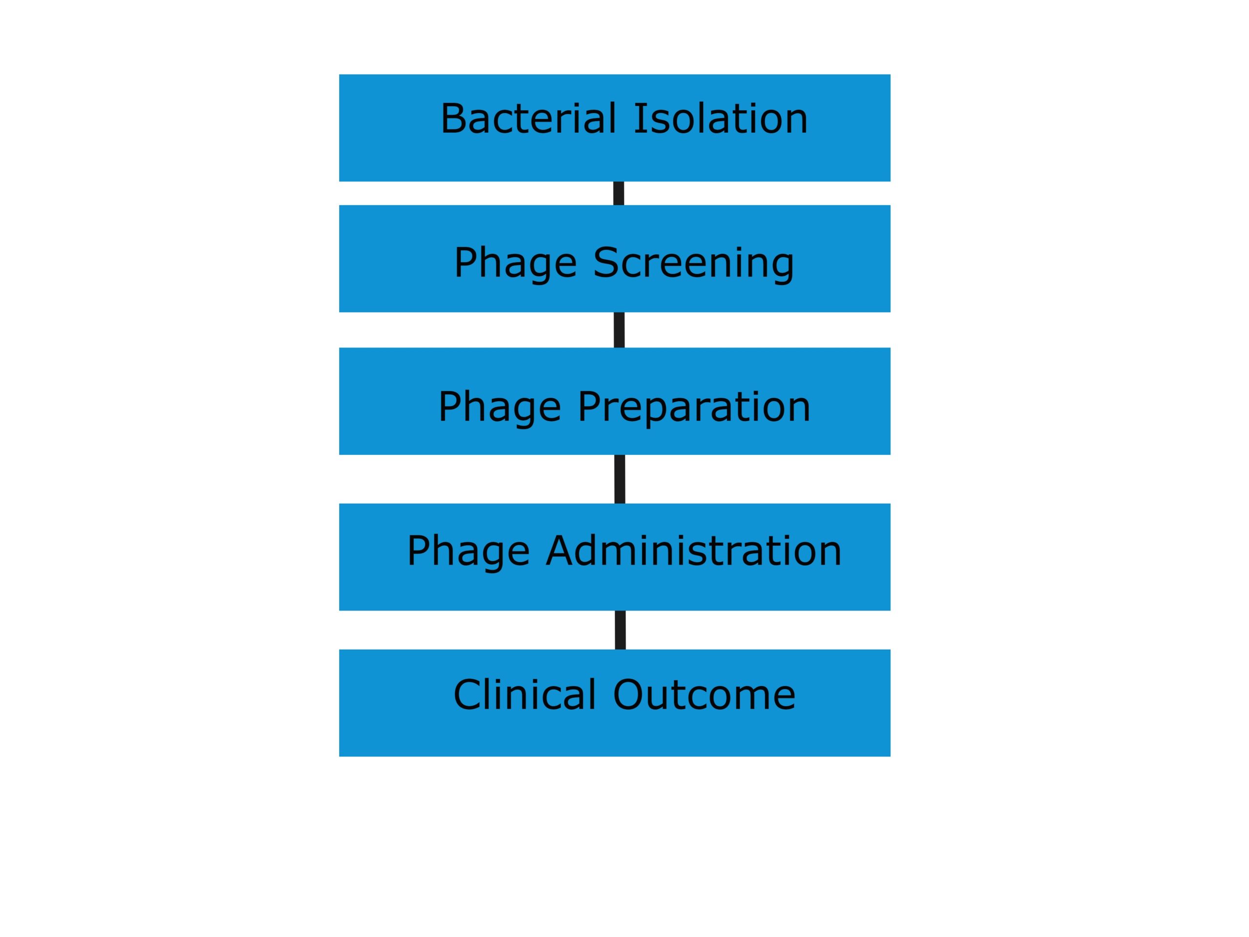 Phage therapy 2